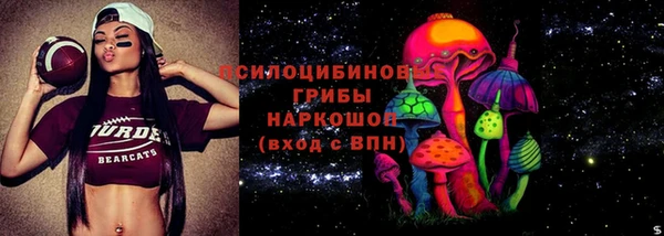 PSILOCYBIN Богданович